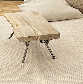 Couchtisch aus Fosilem Holz - Versteinertes Holz