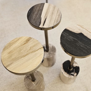 Beistelltisch aus versteinertem Holz