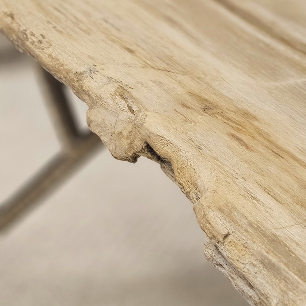 Sofatisch CARDUCCI aus Versteinertem Holz