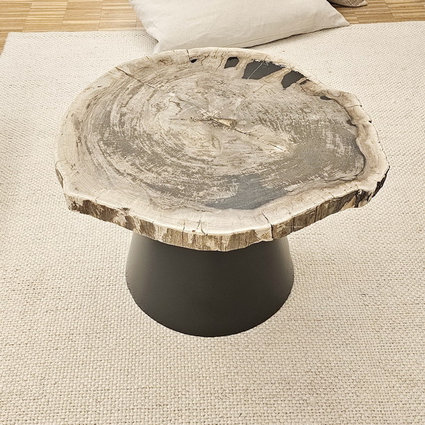 Sofatisch HITAM Table aus versteinertem Holz - ein Meisterwerk der Natur