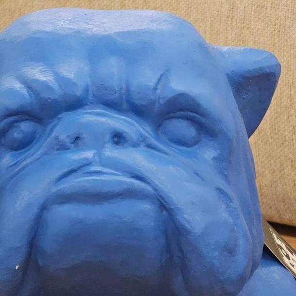 Französische Bulldogge FATTY