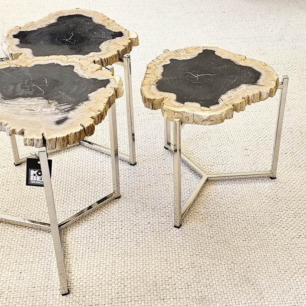 Versteinertes Holz Fosil Stone