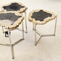 Versteinertes Holz Fosil Stone